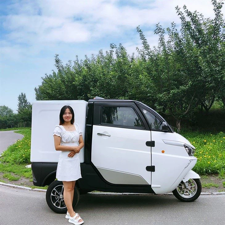 L5e China Pedal Cargo Tricycle New Energy Electric Delivery Vehicle With Van Box For Sale L5e China Pedal Cargo Tricycle New Energy Electric Delivery Vehicle With Van Box For Sale
